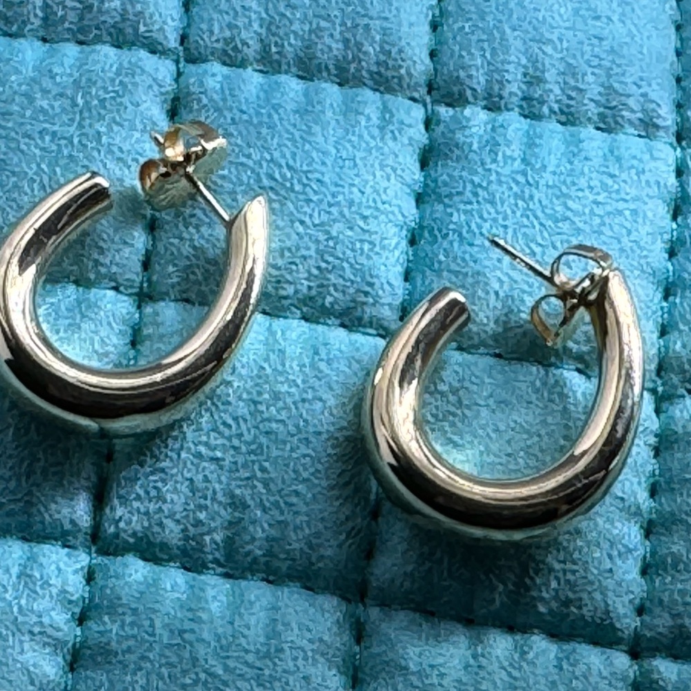 Silver Hoop Earrings